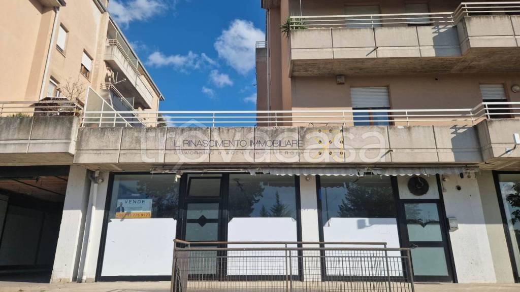 immagine annuncio 5 di 7