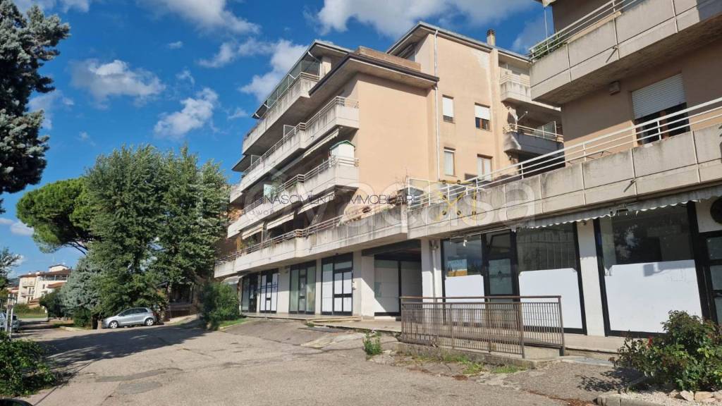 immagine annuncio 6 di 7