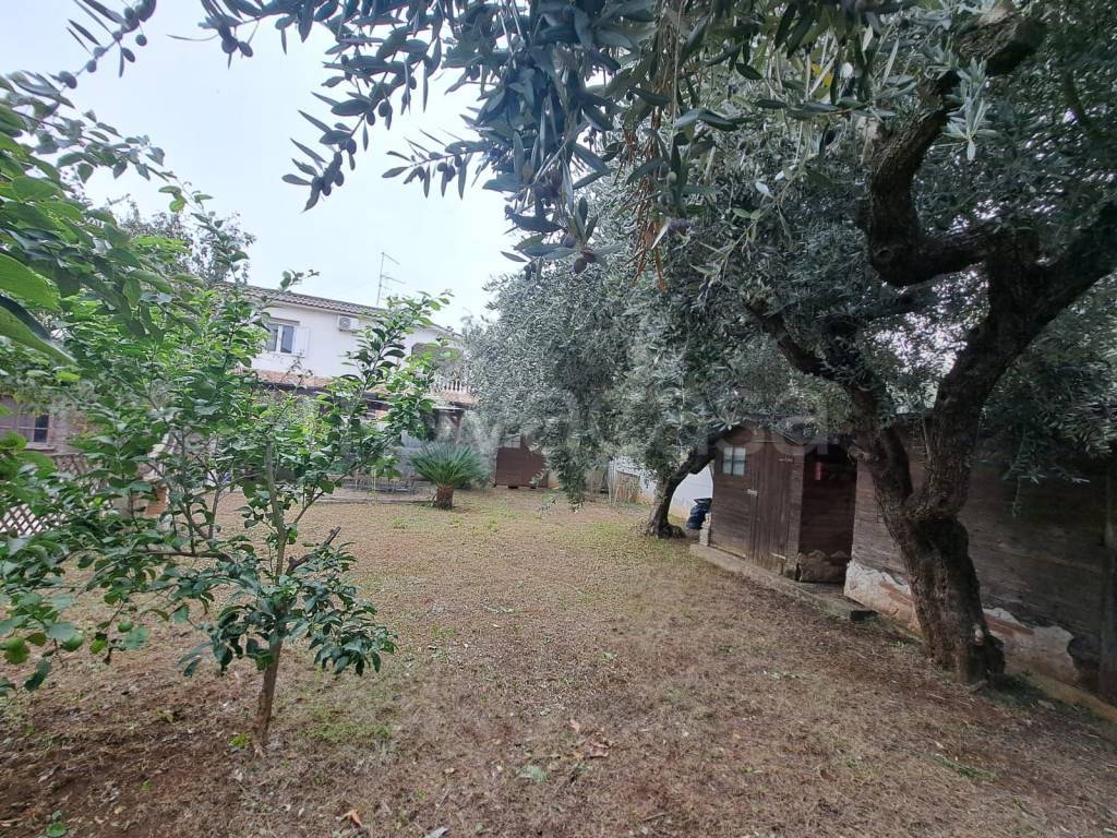 immagine annuncio 10 di 15