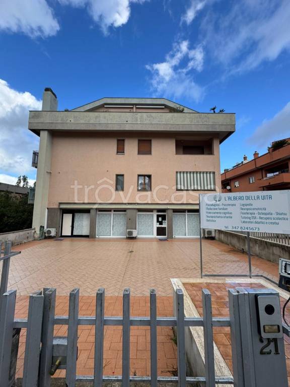 immagine annuncio 9 di 12