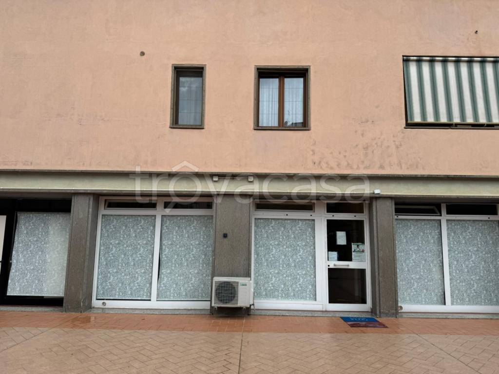 immagine annuncio 10 di 12