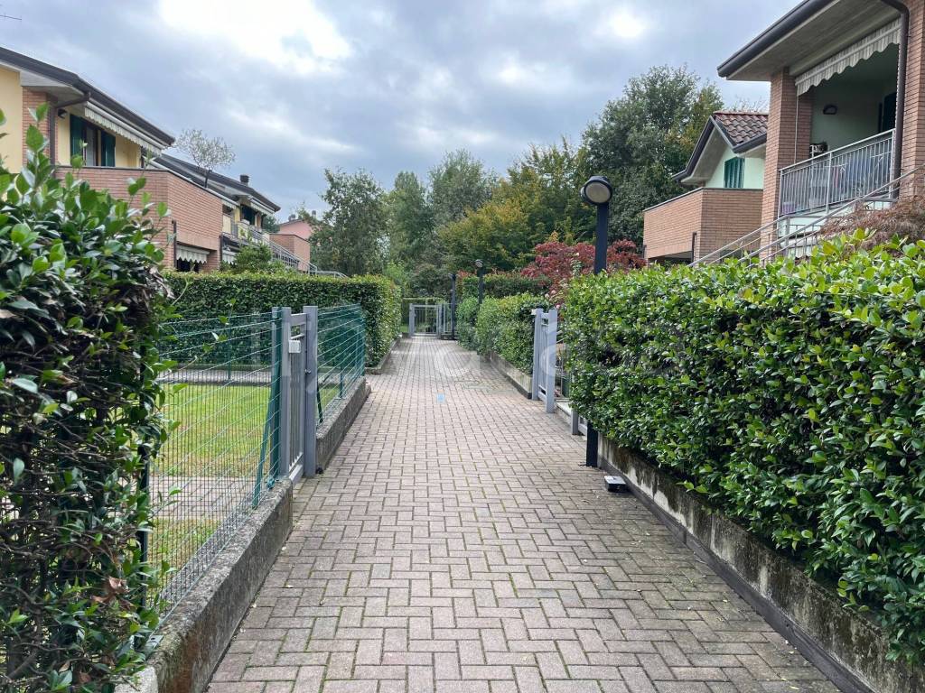 immagine annuncio 2 di 15