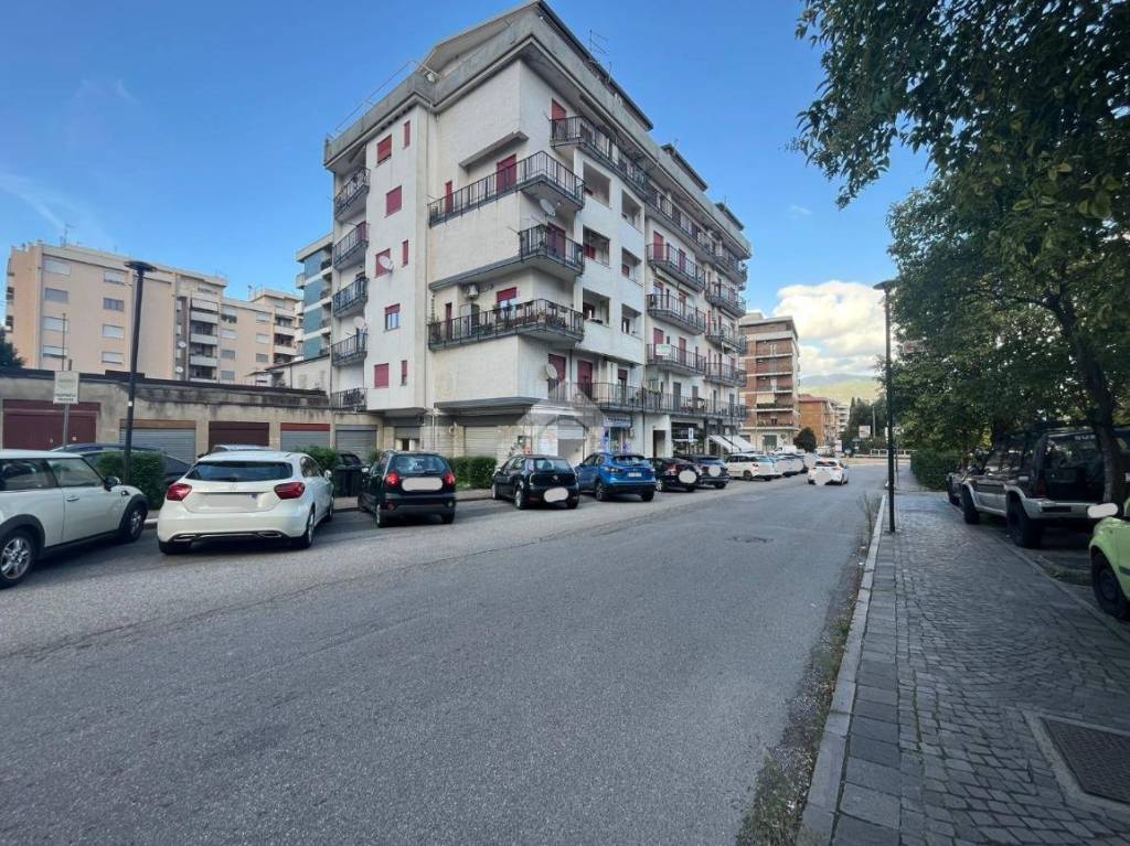 immagine annuncio 8 di 12
