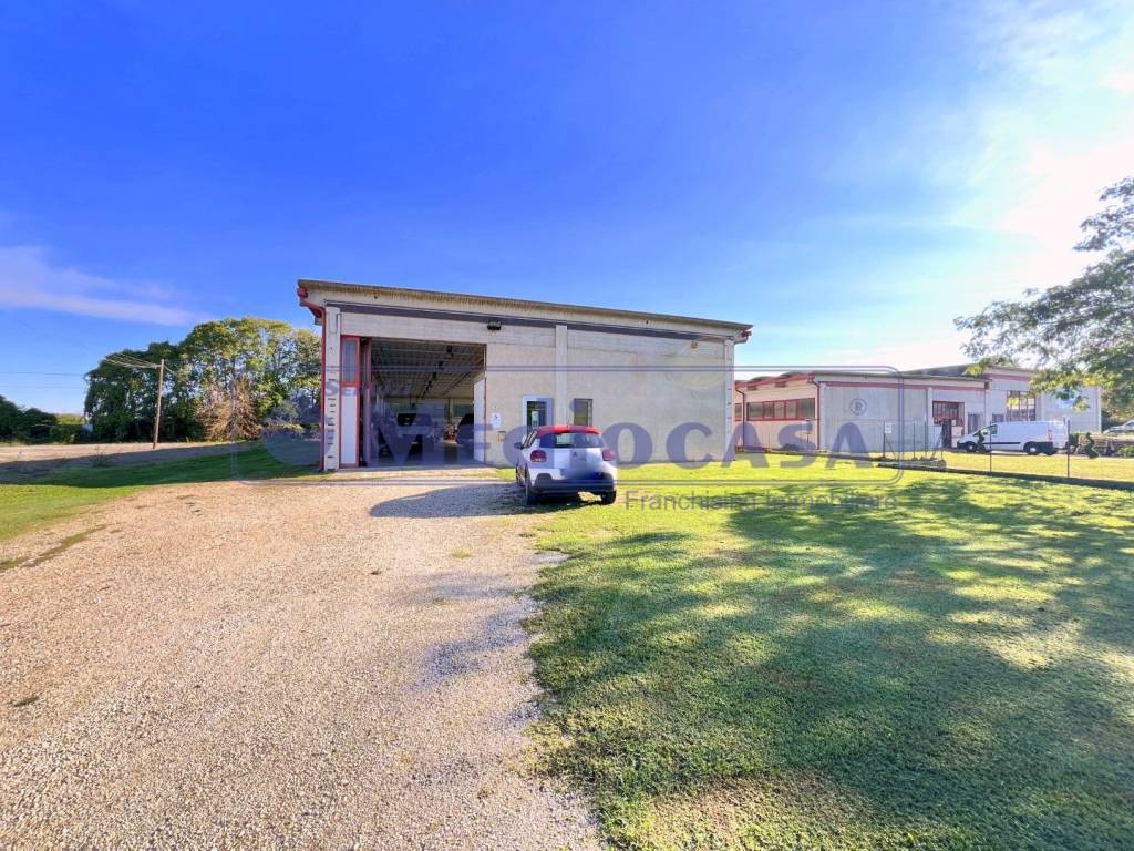 immagine annuncio 1 di 15