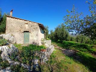 Terreno agricolo in vendita a itri contrada bucefalo