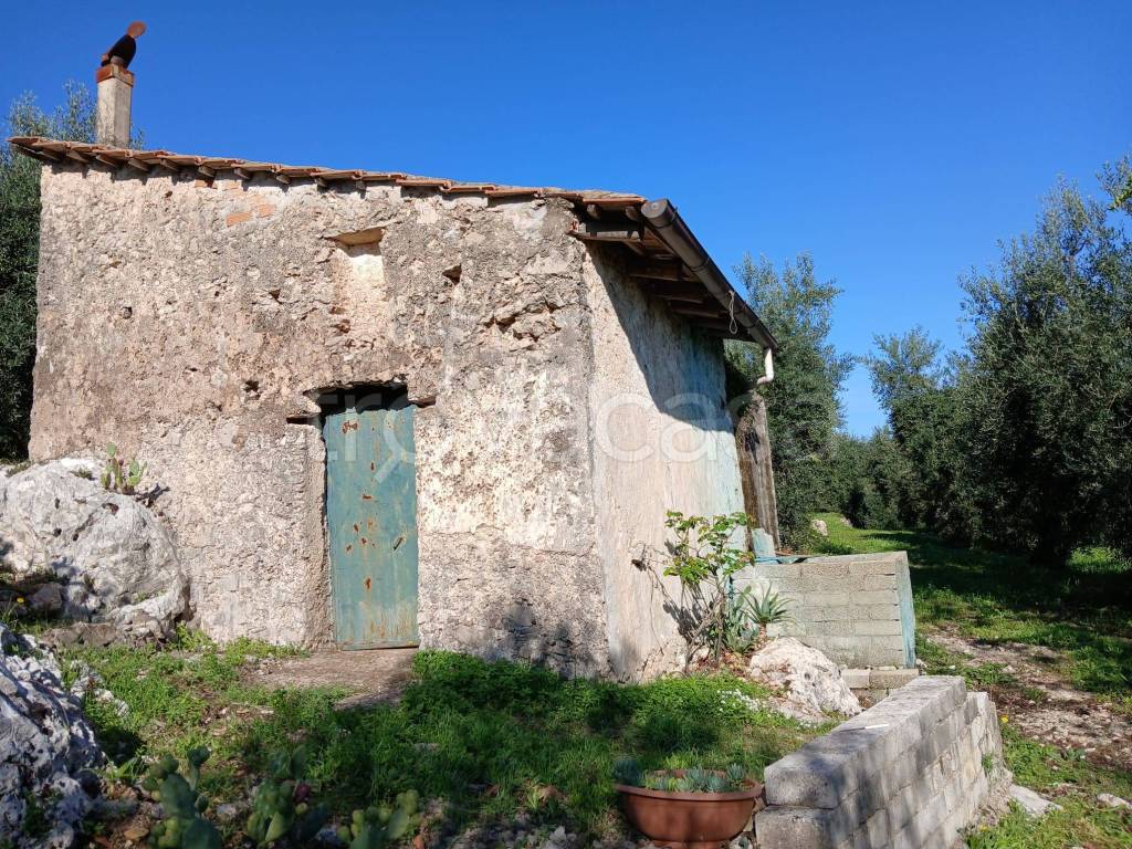 immagine annuncio 2 di 14