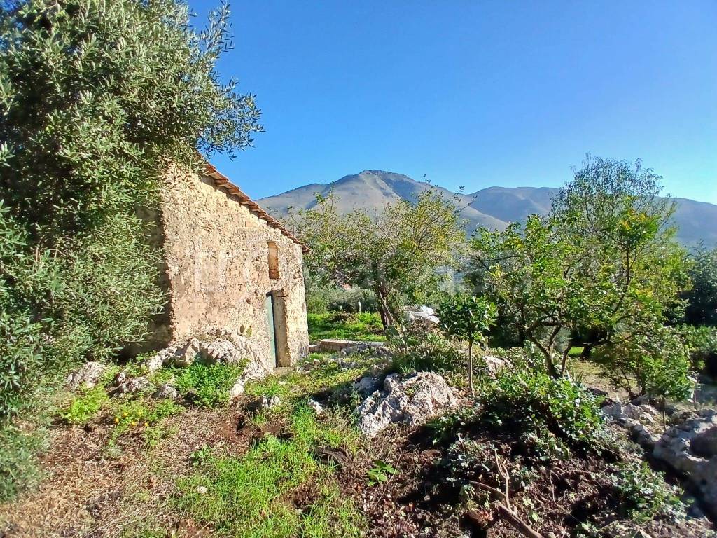 immagine annuncio 3 di 14
