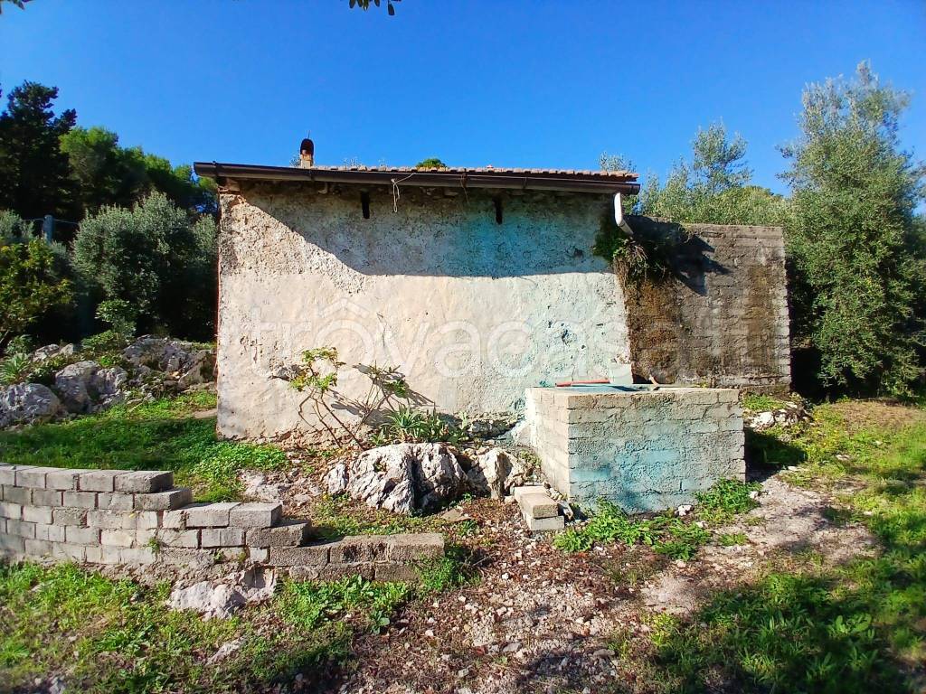 immagine annuncio 4 di 14