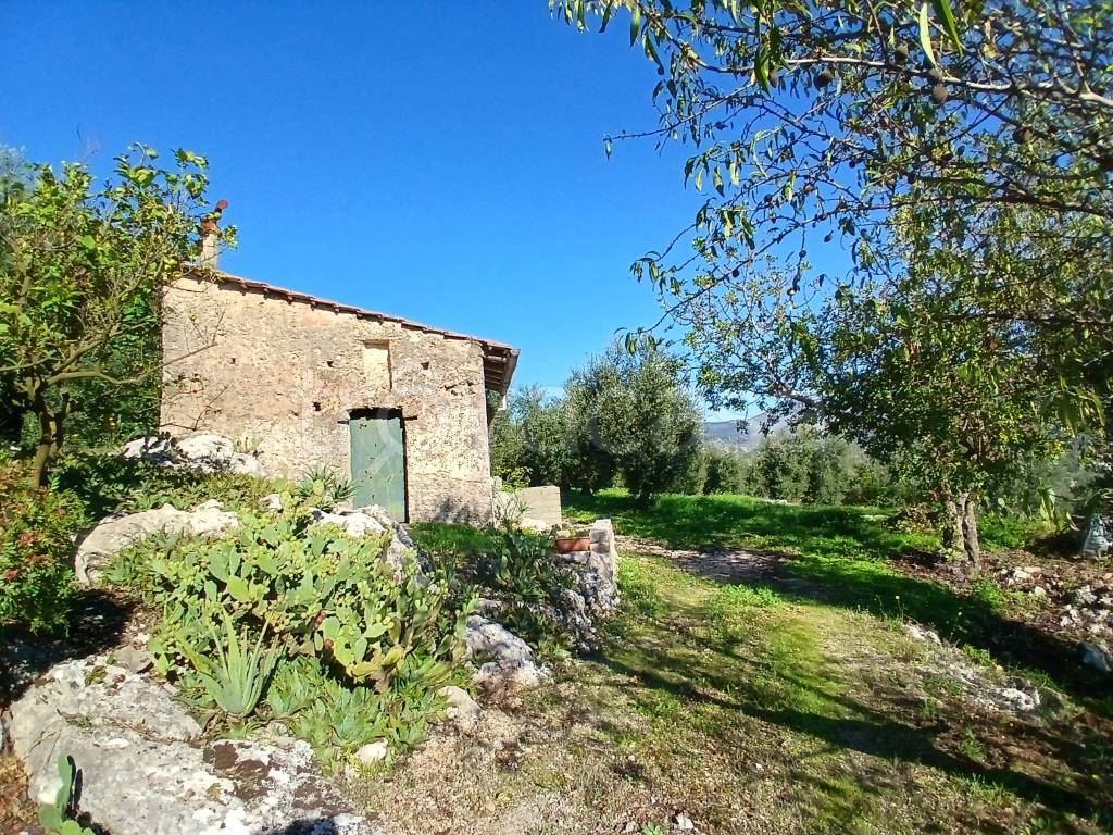 immagine annuncio 6 di 14