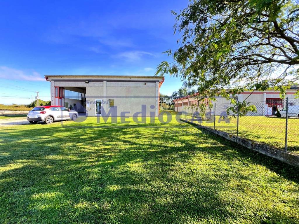 immagine annuncio 2 di 15