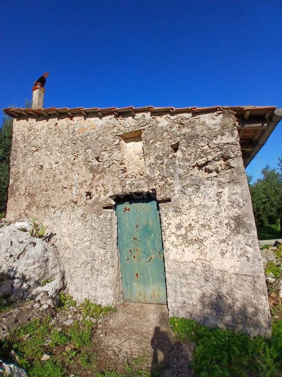immagine annuncio 11 di 14