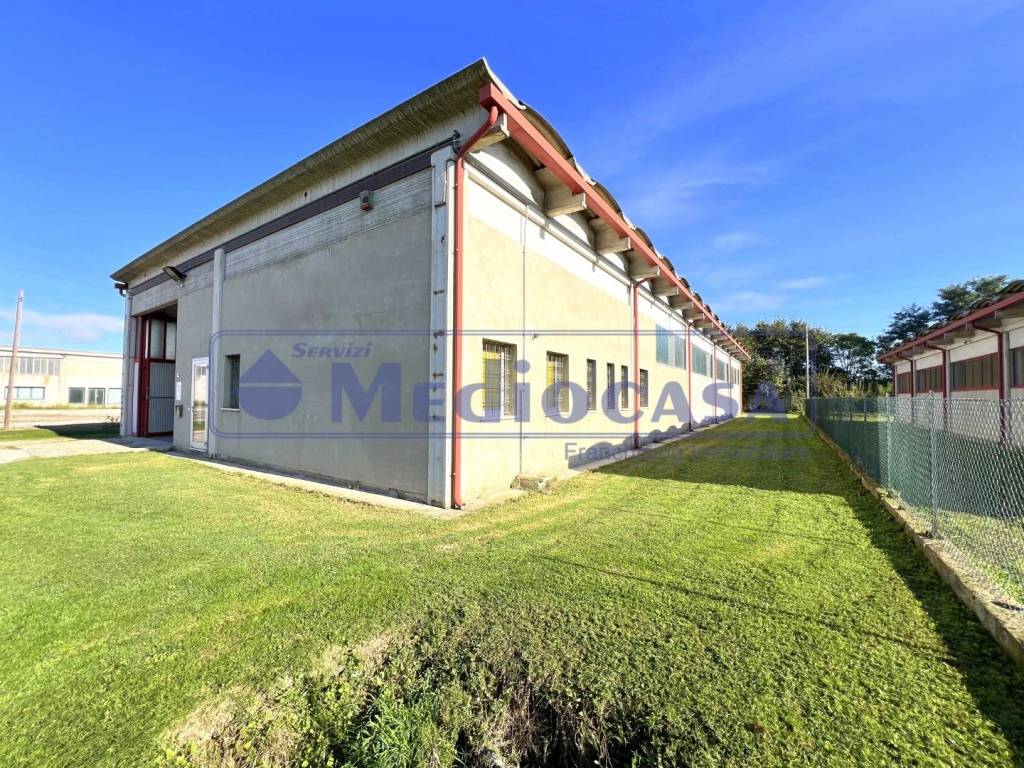 immagine annuncio 5 di 15