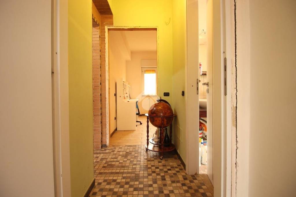 immagine annuncio 9 di 14