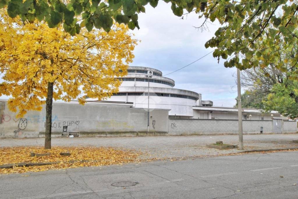 immagine annuncio 1 di 15