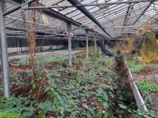 Terreno agricolo in vendita a genova via paradiso, 15