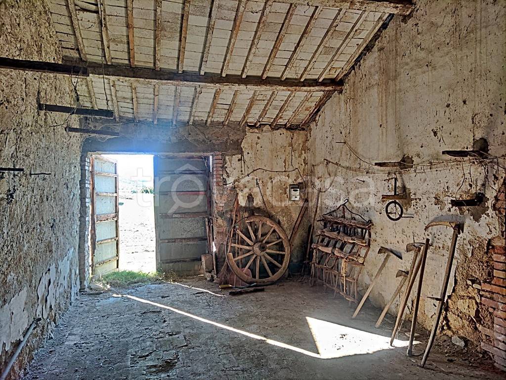 immagine annuncio 9 di 14
