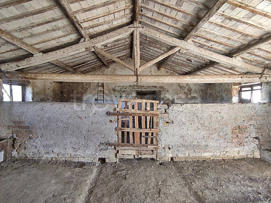 immagine annuncio 8 di 14