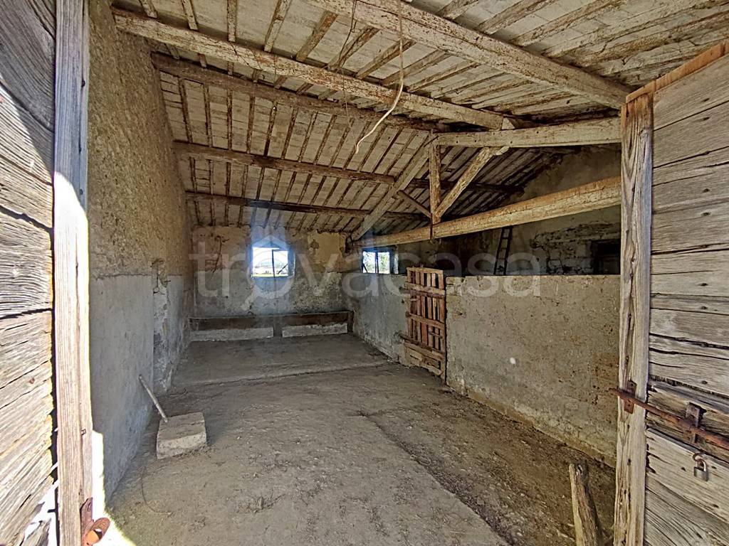 immagine annuncio 7 di 14