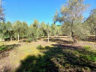 Terreno agricolo in vendita a itri contrada campanaro