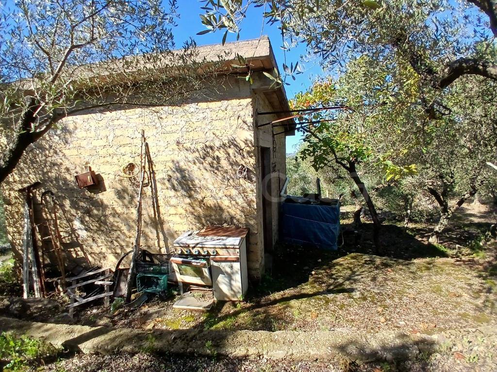 immagine annuncio 13 di 14