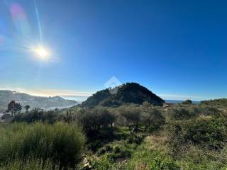 Terreno agricolo in vendita a bordighera via san sebastiano