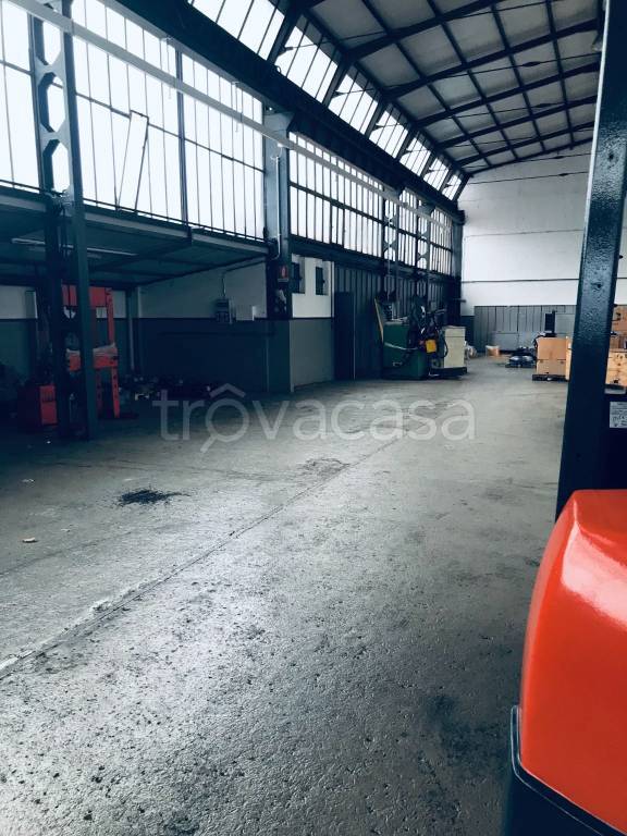 immagine annuncio 4 di 15