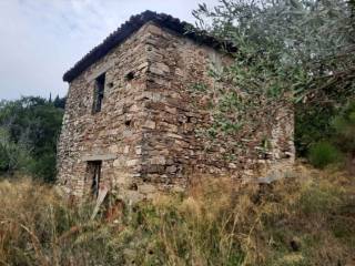 Terreno agricolo in vendita a torchiara sp86