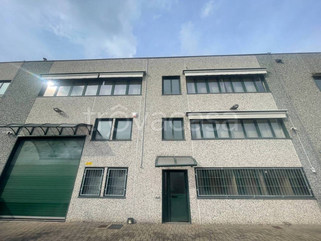 immagine annuncio 1 di 15