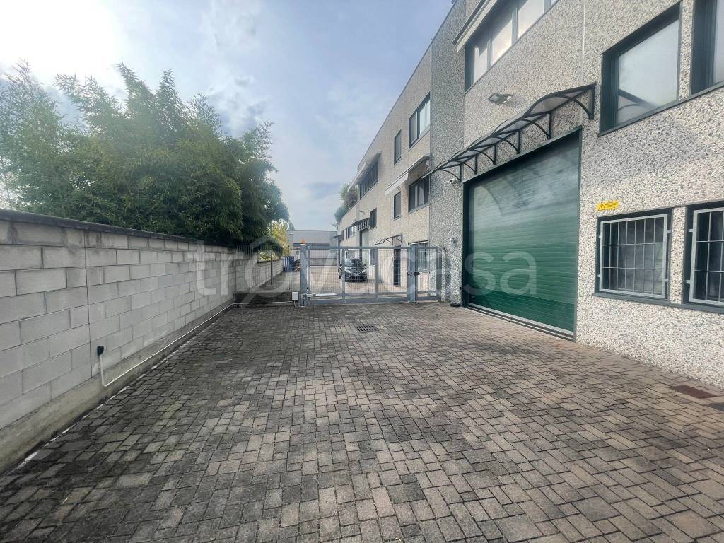 immagine annuncio 2 di 15