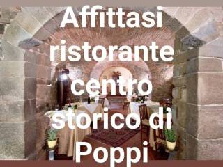 Ristorante in in affitto da privato a poppi via lapucci, 1