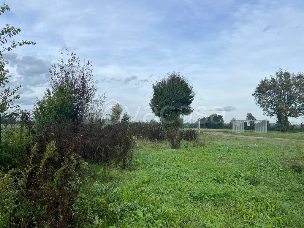 immagine annuncio 2 di 12