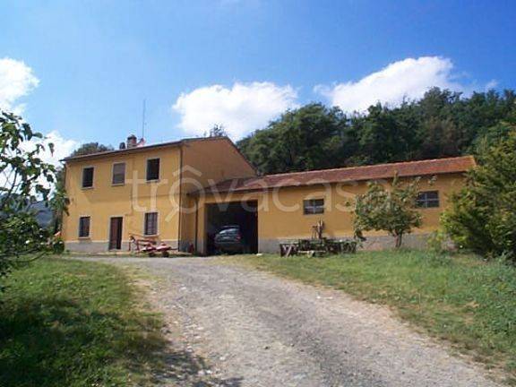 immagine annuncio 4 di 6