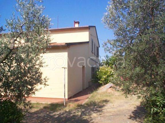 immagine annuncio 3 di 8