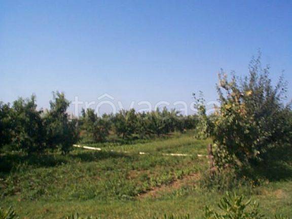 immagine annuncio 5 di 8