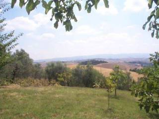 Terreno residenziale in vendita a collesalvetti 