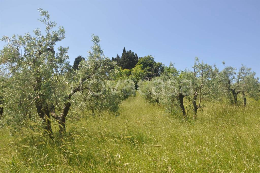 immagine annuncio 5 di 8