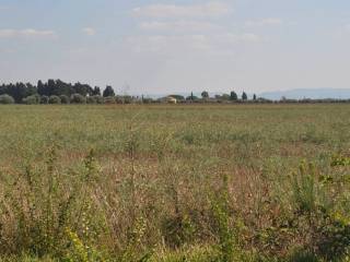 Terreno agricolo in vendita a rosignano marittimo stradone dei fichi