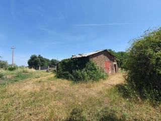 Terreno agricolo in vendita a vitorchiano 