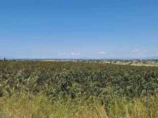 Terreno agricolo in vendita a tarquinia località bandita san pantaleo, snc