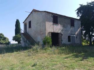 Azienda agricola in vendita a tuscania 