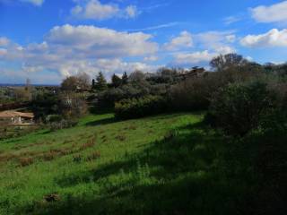 Terreno agricolo in vendita a viterbo 