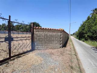 Terreno residenziale in vendita a nettuno 