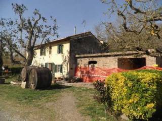 Azienda agricola in vendita a montescudaio strada provinciale dei tre comuni