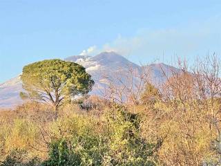 Terreno agricolo in vendita a belpasso strada comunale raffo