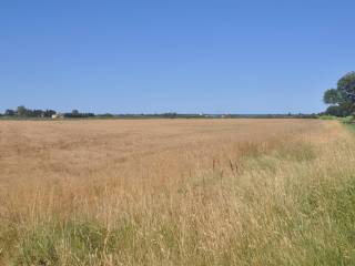 Terreno agricolo in vendita a rosignano marittimo via la valle