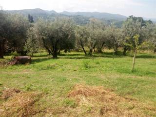 Terreno residenziale in vendita a terni 