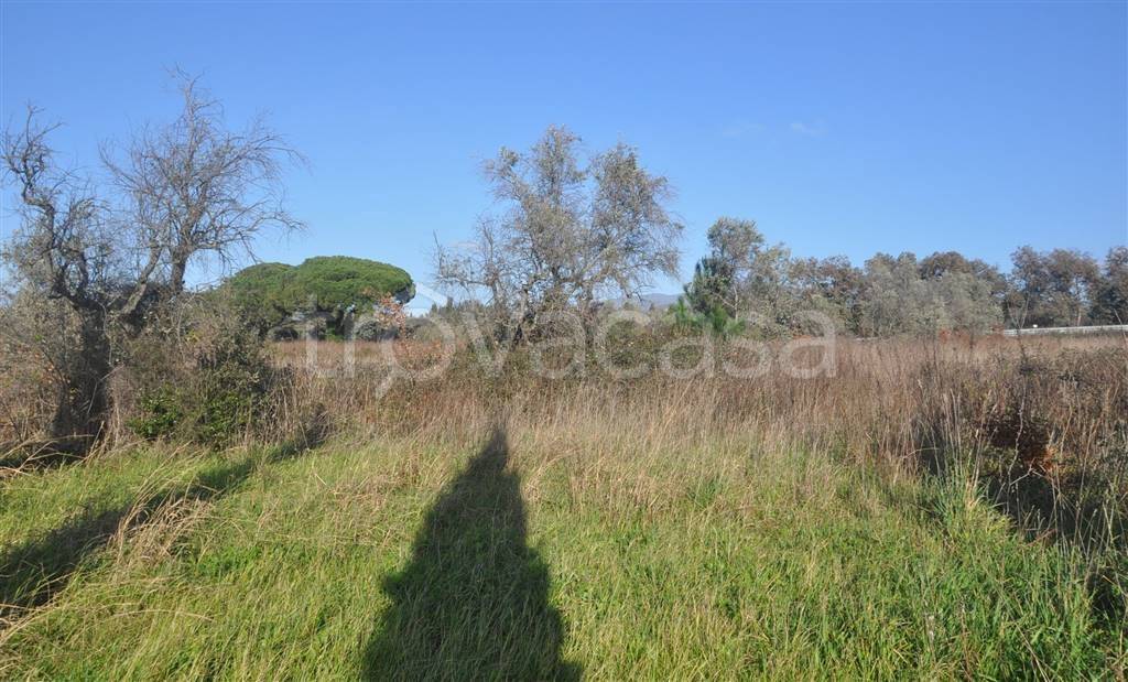 immagine annuncio 9 di 14