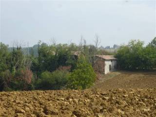 Consorzio agrario in vendita a castelvetro di modena 