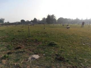 Terreno agricolo in vendita a tarquinia san giorgio, 12