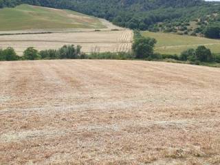 Terreno agricolo in vendita a tuscania 